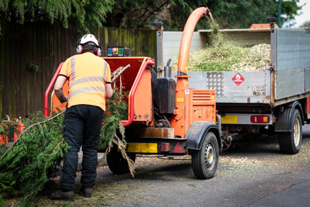 Best Lawn Watering Services  in USA